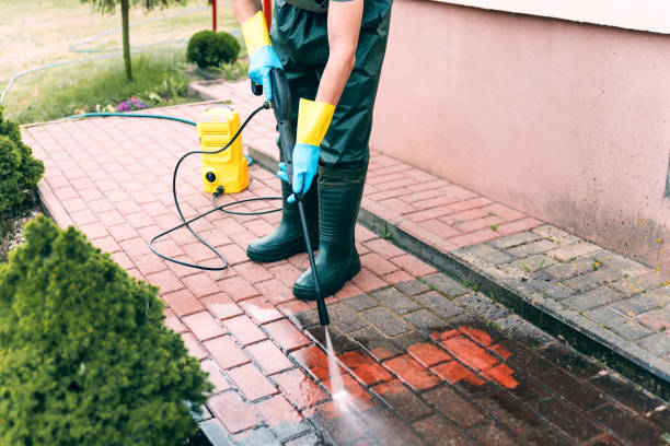 Best Driveway Pressure Washing  in Port Dickinson, NY