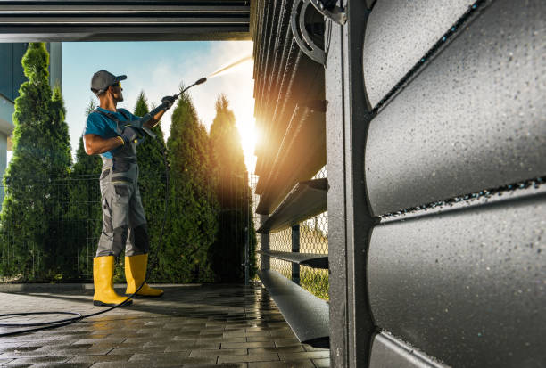 Best Roof Washing  in Port Dickinson, NY
